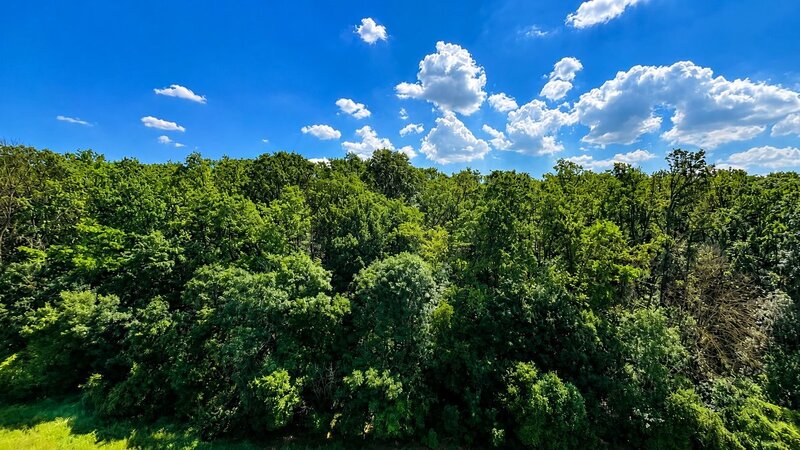 Greenfield Residence, 2 camere cu vedere panoramica spre padure, bloc D6, parcare inclusa