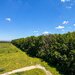 Greenfield Residence, 2 camere cu vedere panoramica spre padure, bloc D6, parcare inclusa