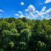 Greenfield Residence, 2 camere cu vedere panoramica spre padure, bloc D6, parcare inclusa